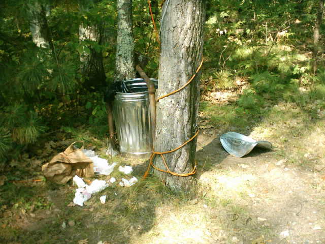 garbage can.jpg (52160 bytes)